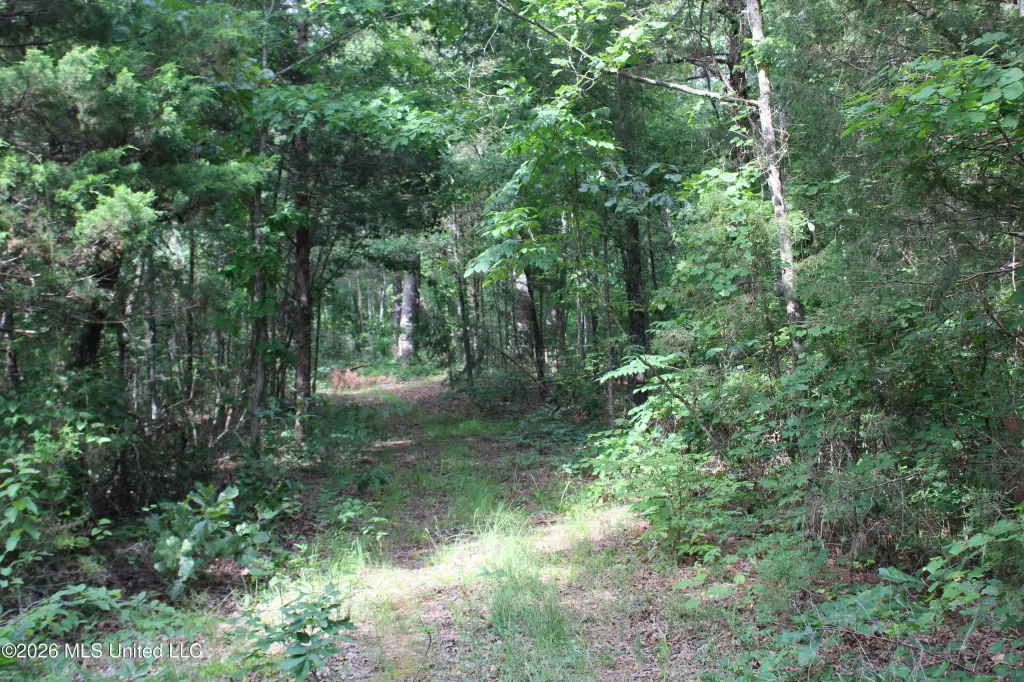 Picture 20