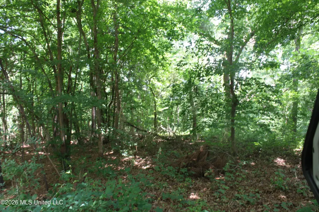 Picture 17