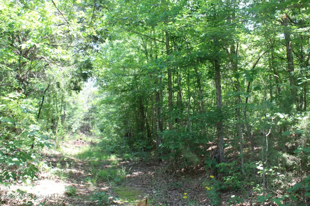 Picture 16