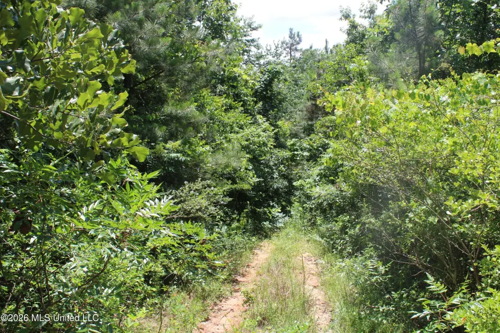 Picture 22