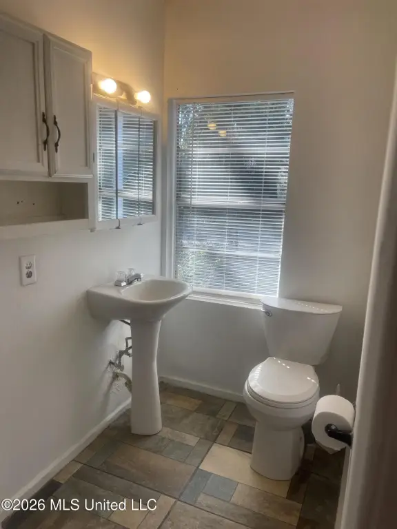 Picture 17