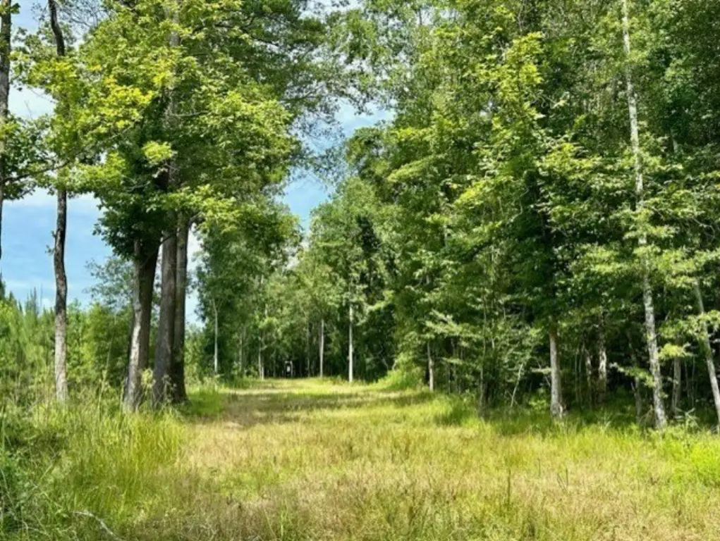 Picture 25