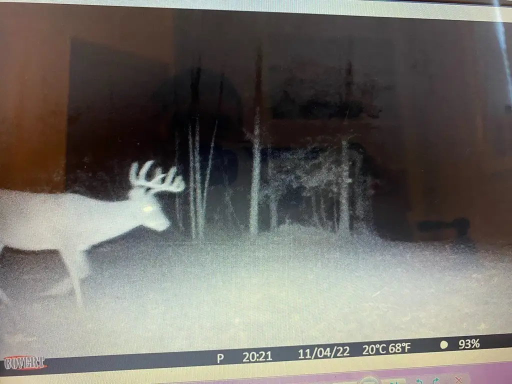 Picture 13