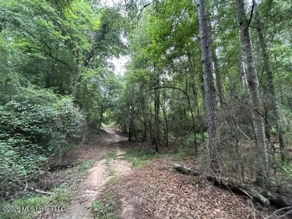 Picture 21