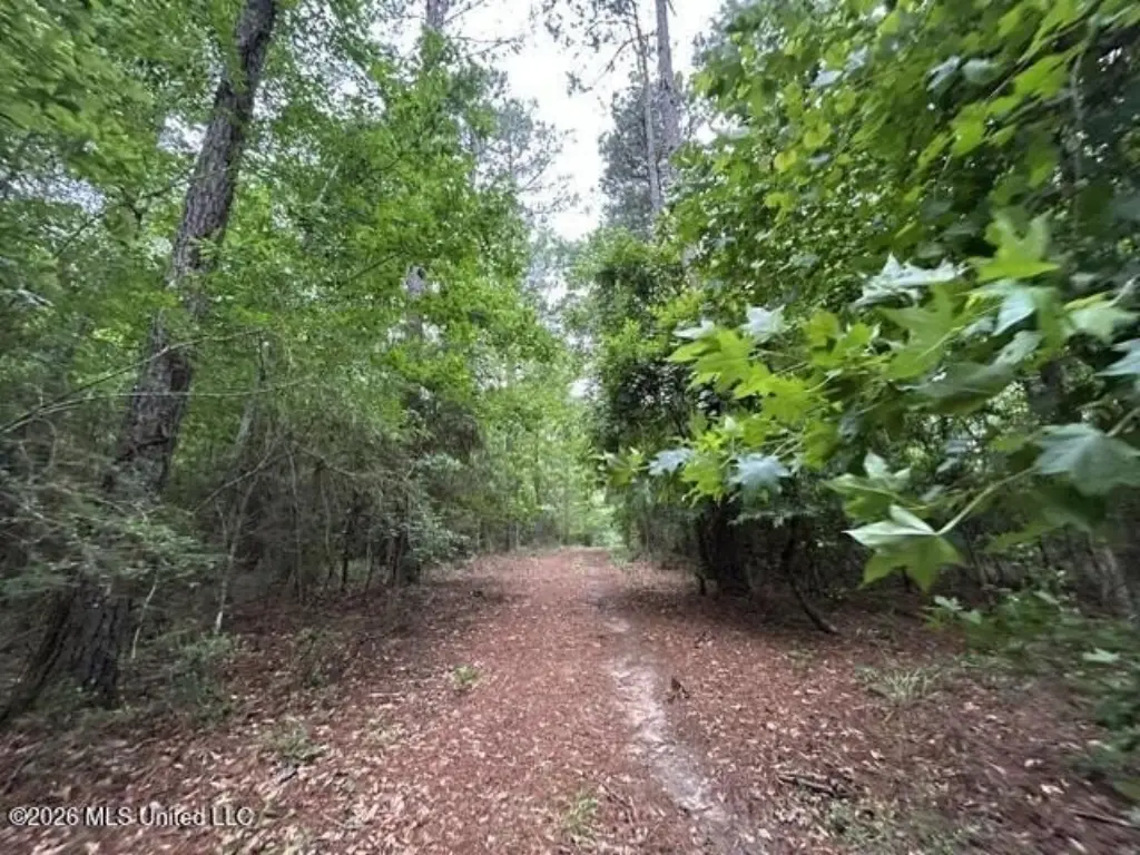 Picture 11