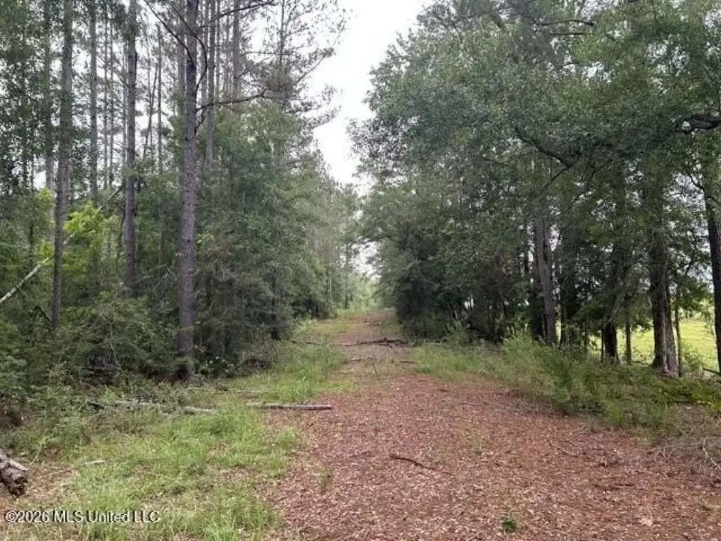 Picture 2