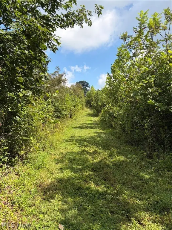 Picture 25