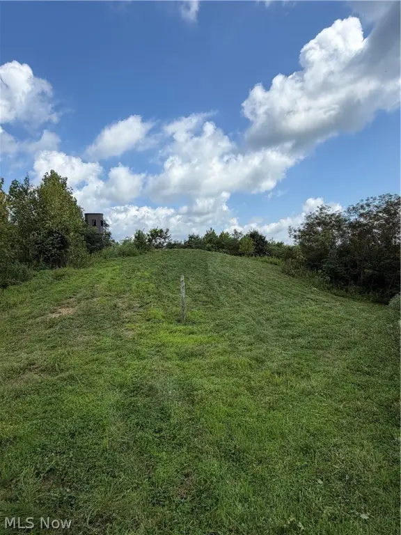 Picture 21