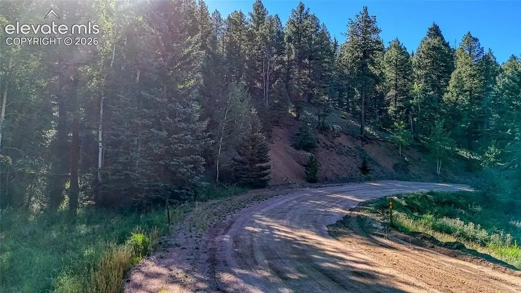 Picture 27