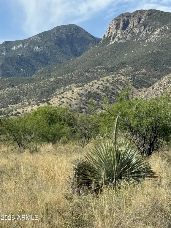 Picture 25