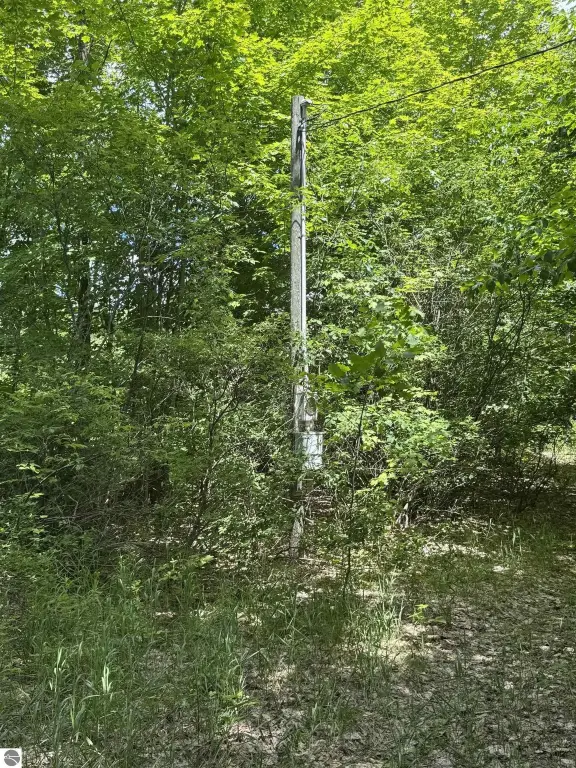Picture 14