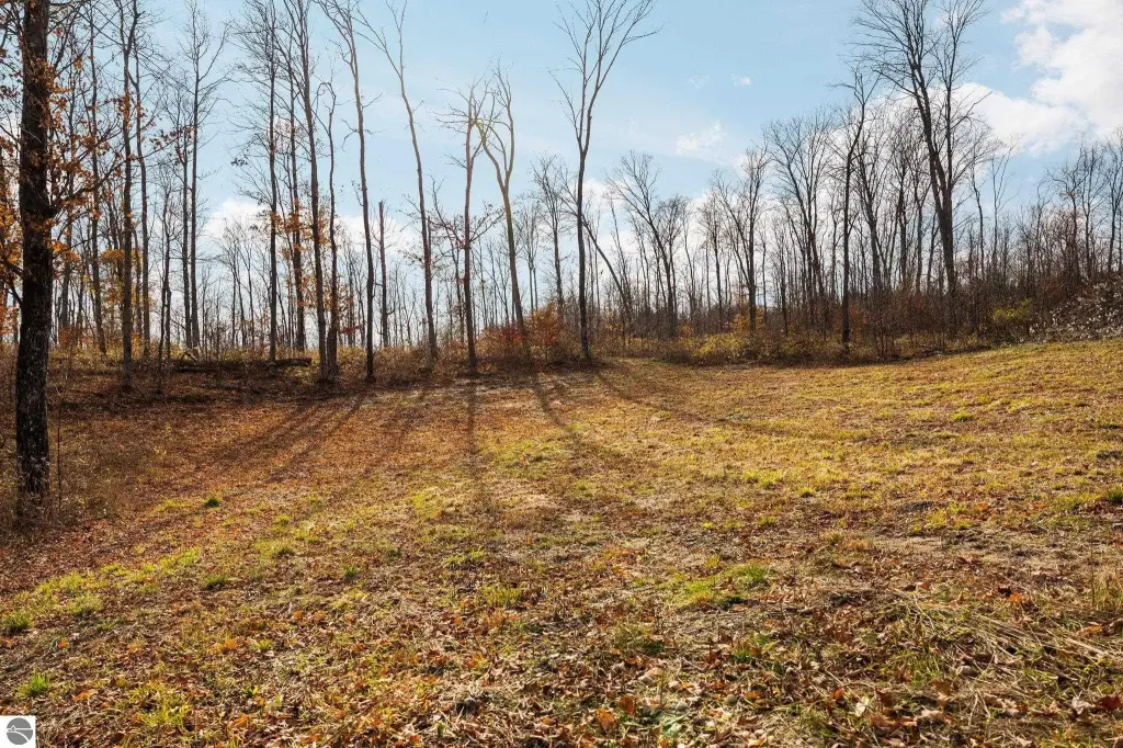 Picture 28