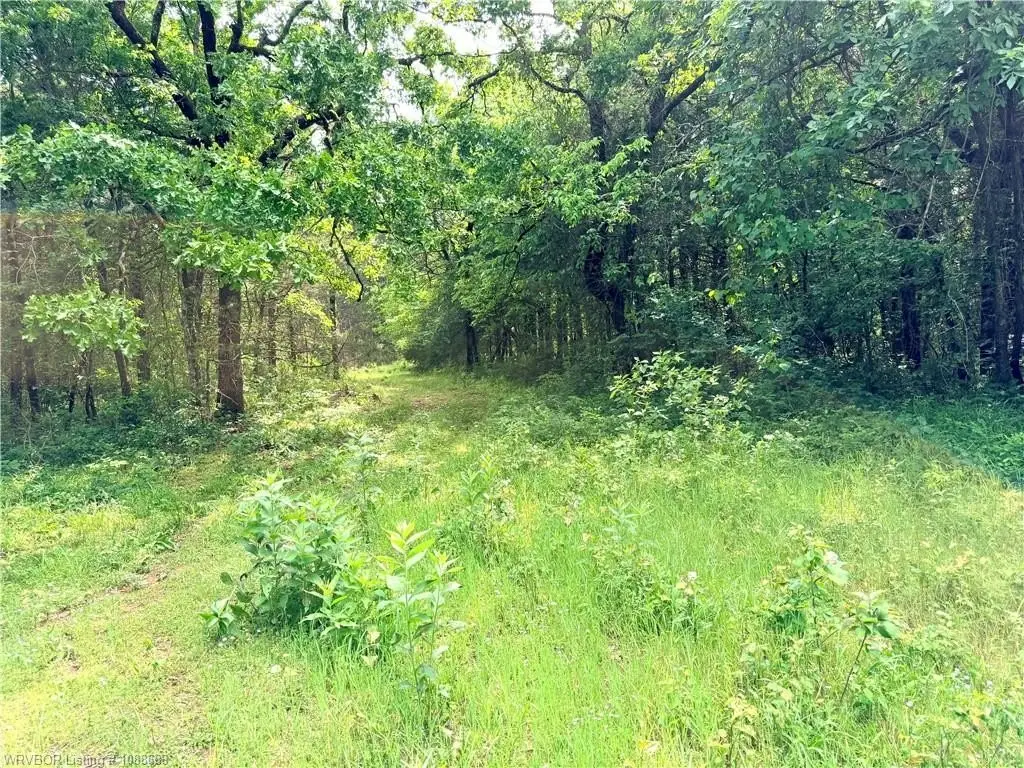 Picture 21