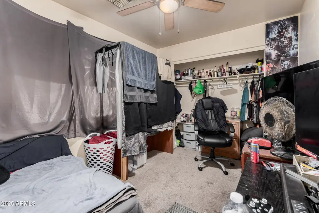 Picture 24