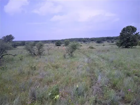25 Acres of Texas Land