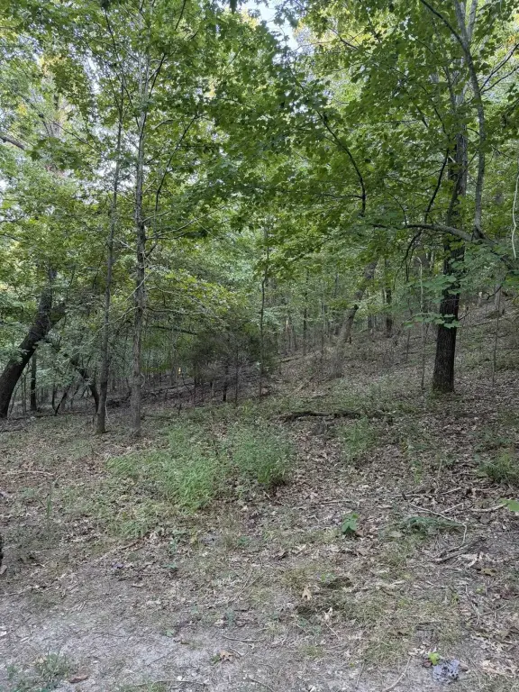 Picture 22