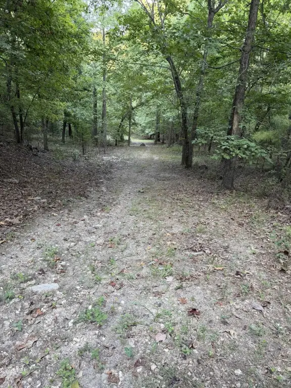 Picture 20