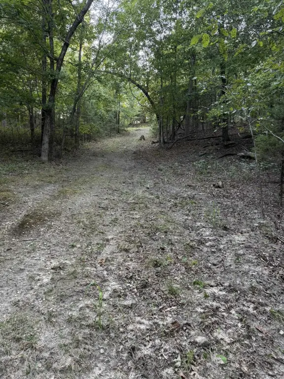 Picture 21