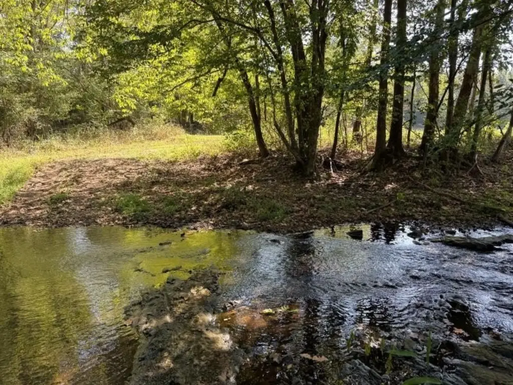 Picture 25