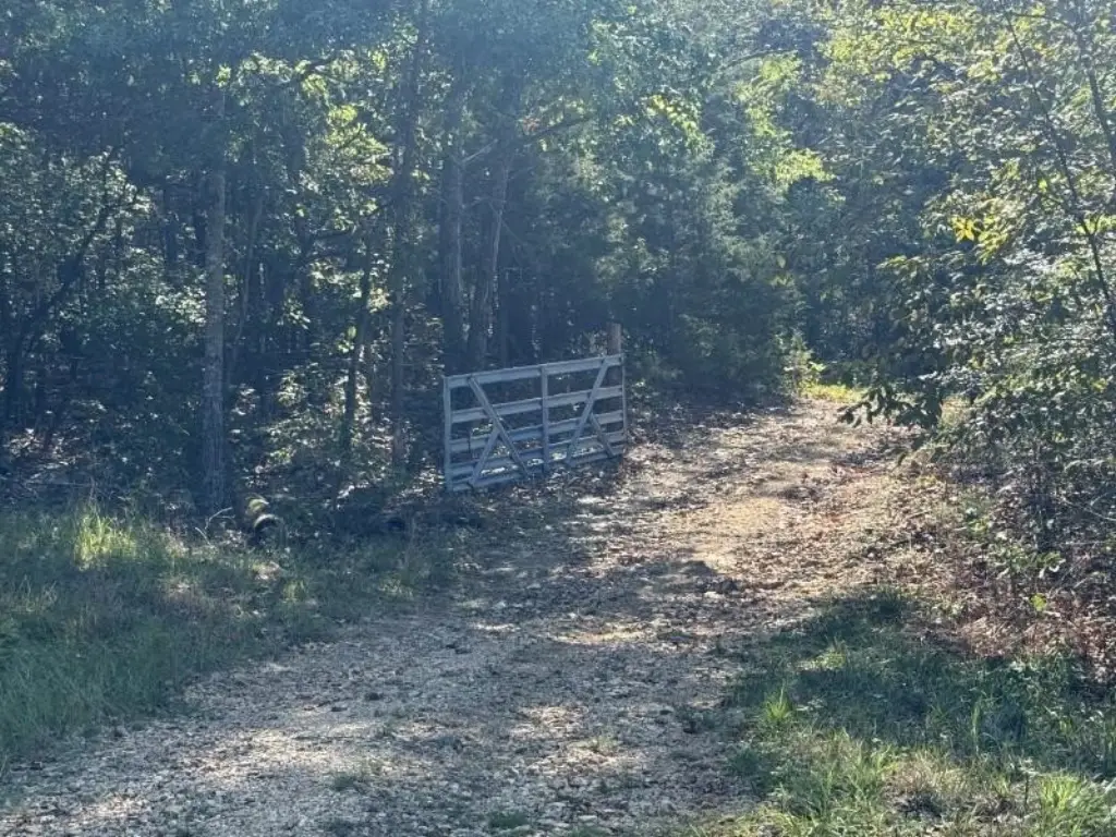 Picture 33