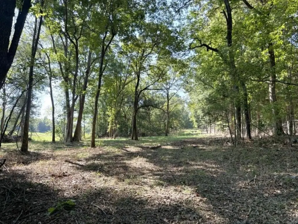 Picture 16
