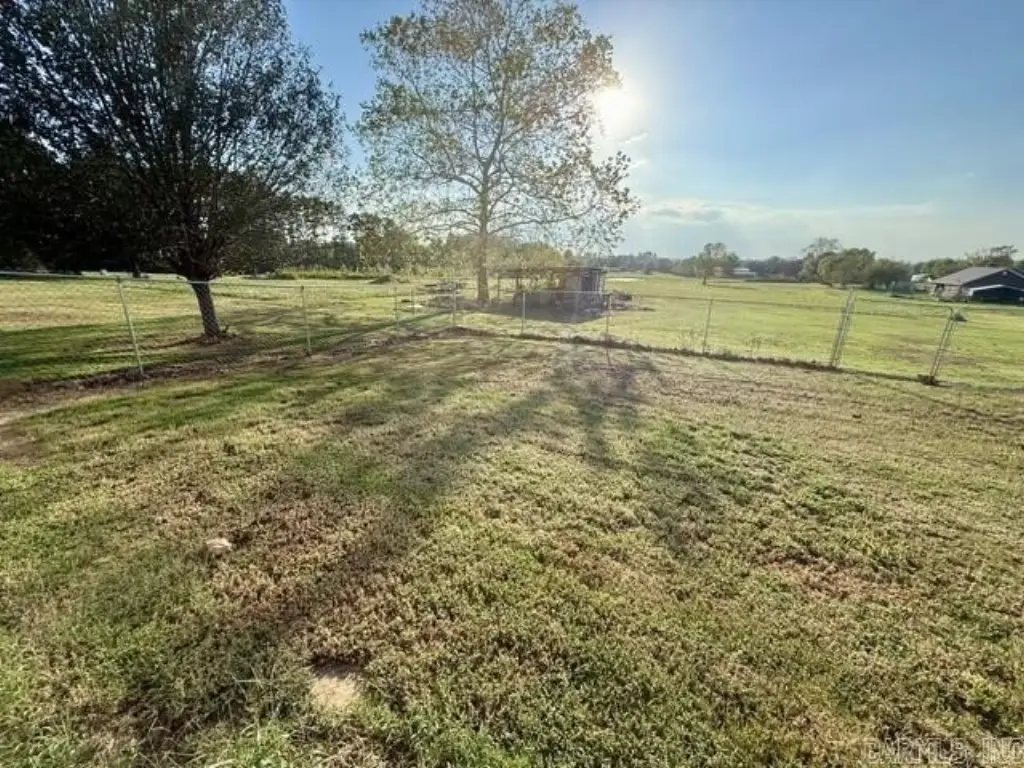 Picture 35