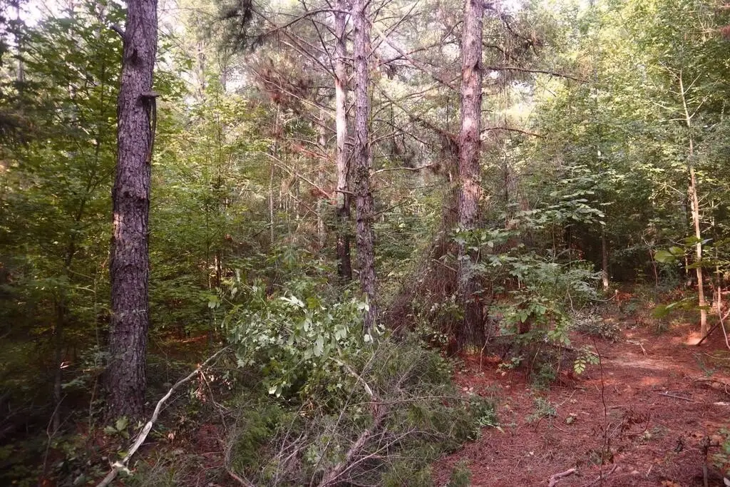 Picture 16