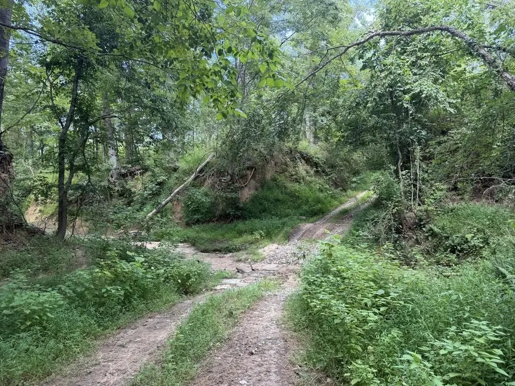 Picture 45