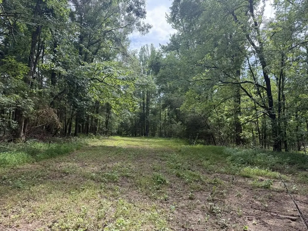 Picture 28