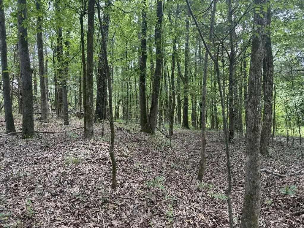 Picture 43