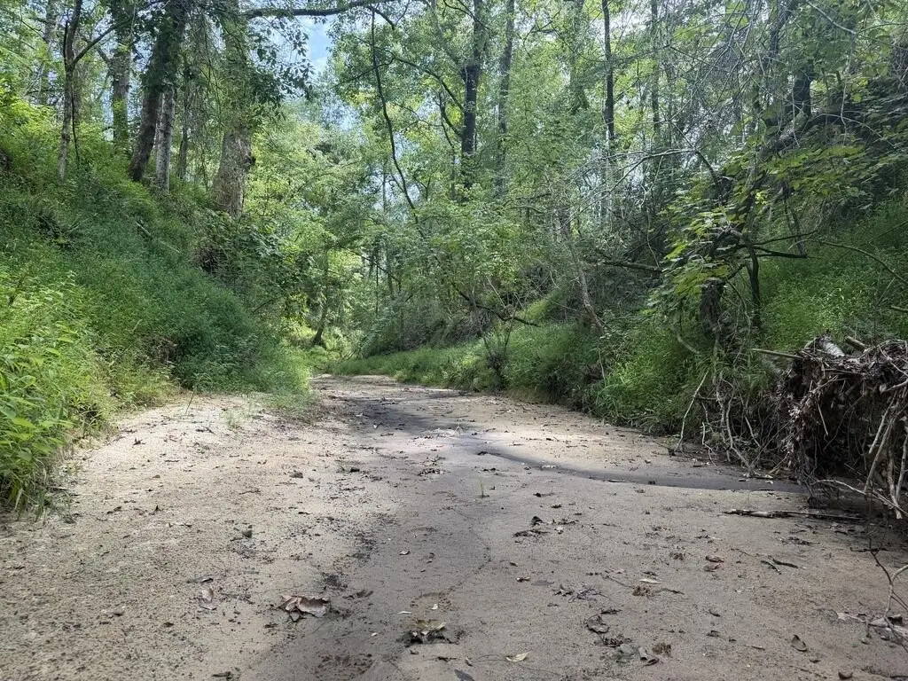 Picture 16