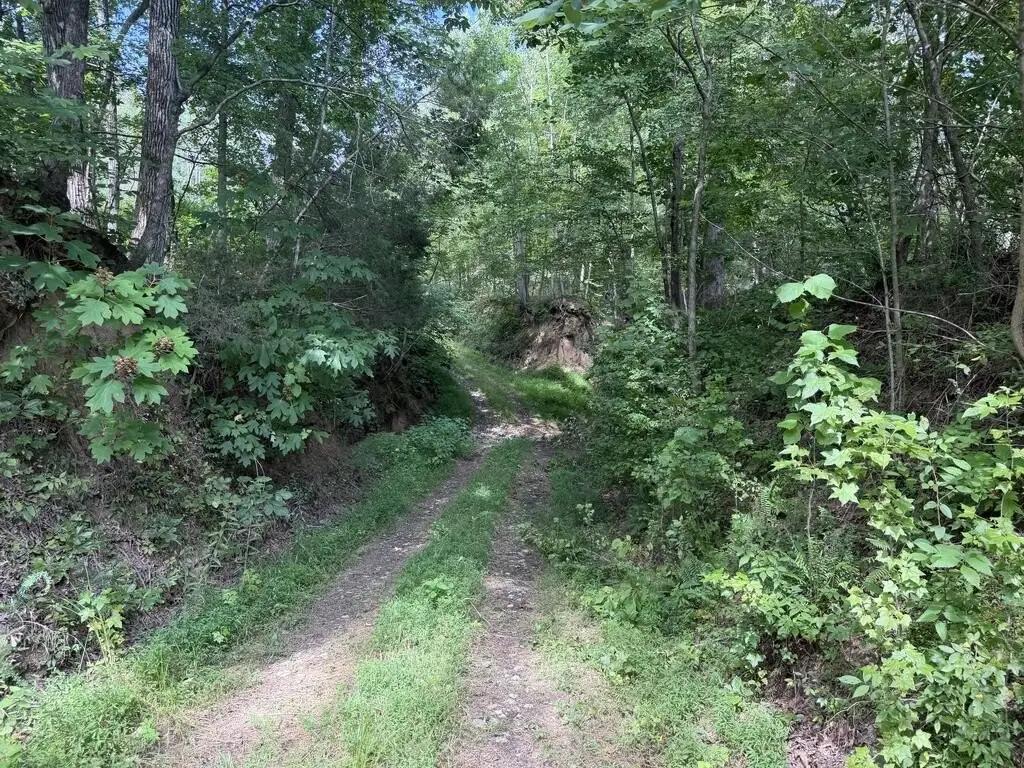 Picture 24