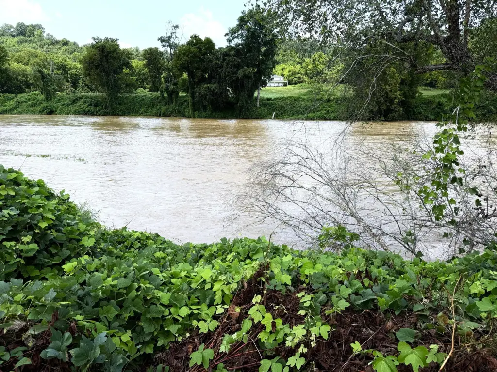 Picture 16