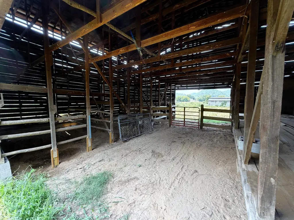 Picture 6
