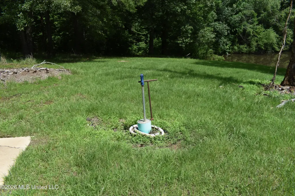 Picture 19