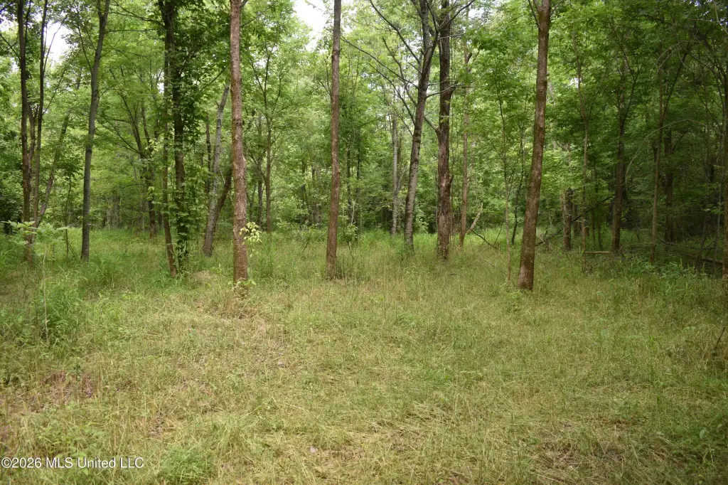 Picture 41