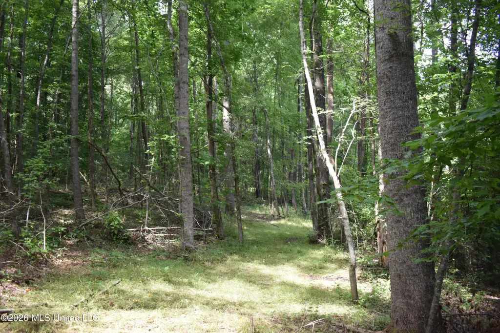 Picture 38