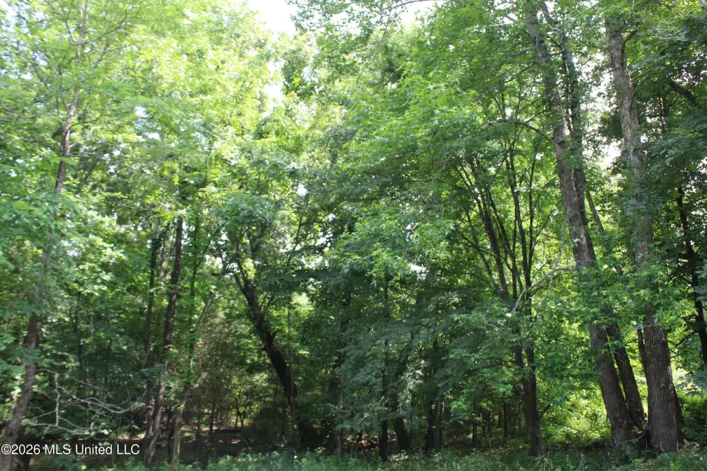 Picture 10