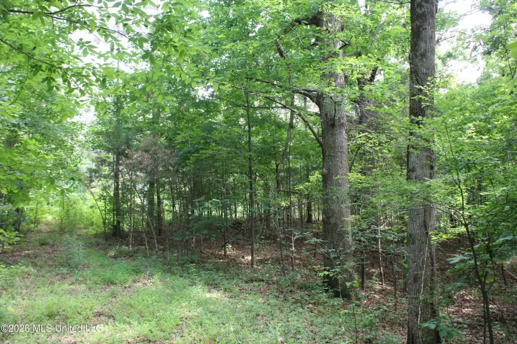 Picture 13