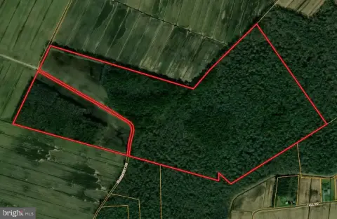 175 Acres in Whaleyville, MD