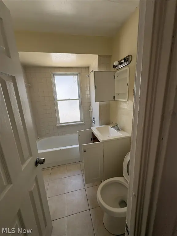 Picture 16
