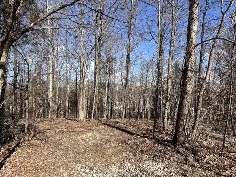 Residential Lot in Foxcliff Estates