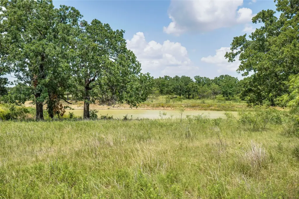 Picture 22