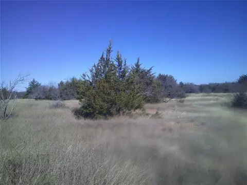 Unimproved Land Near Chico, TX