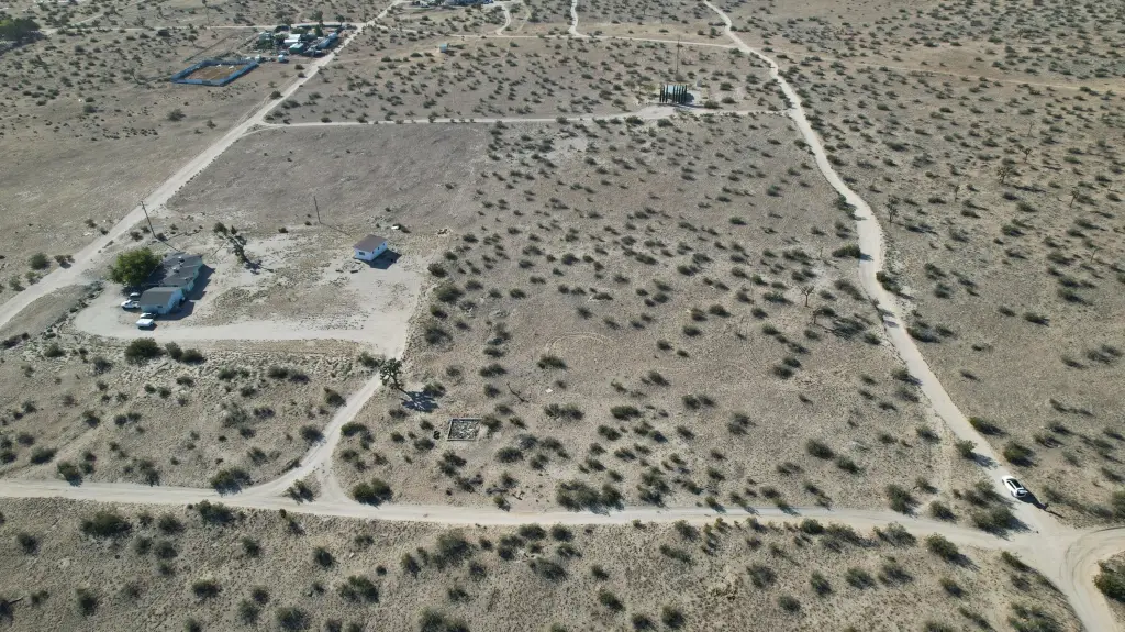 Picture 4