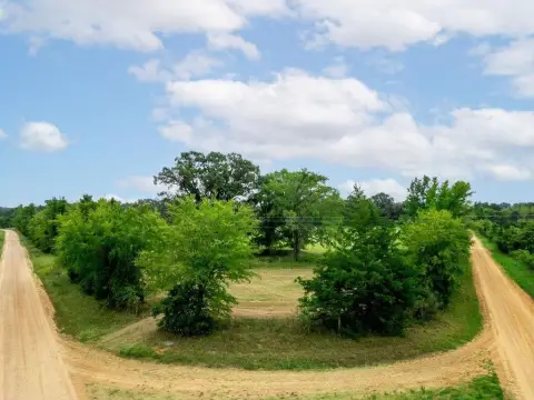 Timbered Pasture Land