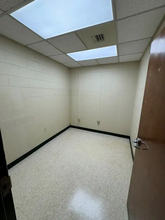 Picture 15