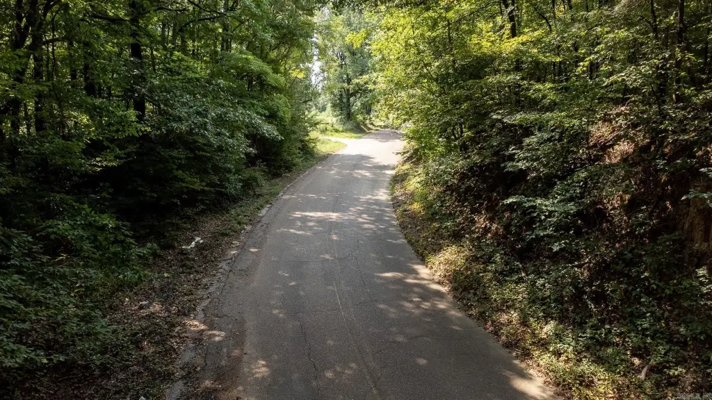 Picture 21