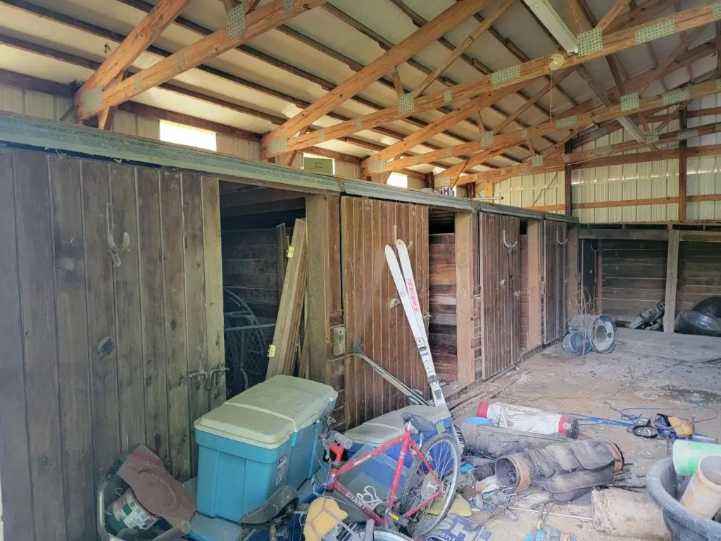 Picture 6