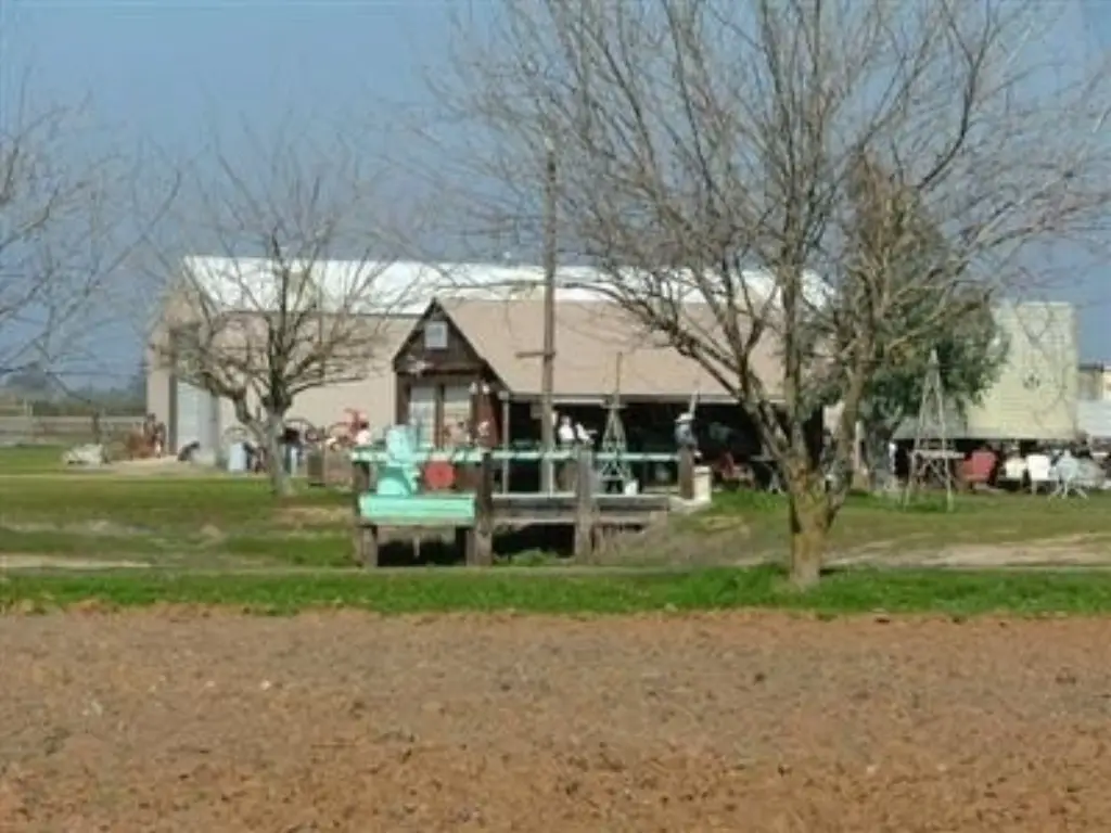 Picture 9